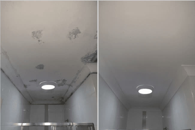 Illustrative before-and-after view of moisture-affected materials and a remediated space